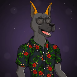 Party Dog #516