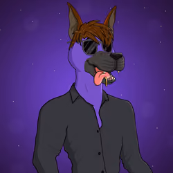 Party Dog #2697