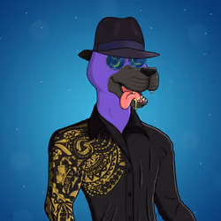 Party Dog #67