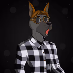 Party Dog #2222