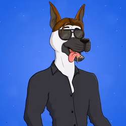 Party Dog #2923