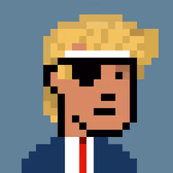 Donald Punk #1800
