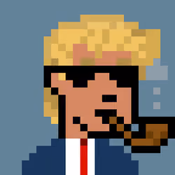 Donald Punk #523