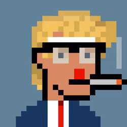 Donald Punk #1101