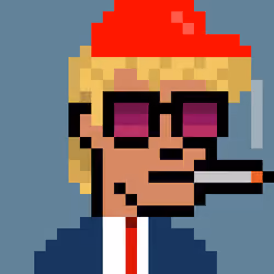 Donald Punk #572