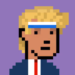 Donald Punk #457