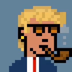 Donald Punk #1608