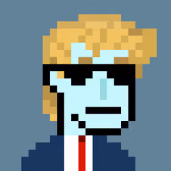 Donald Punk #1664