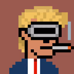Donald Punk #513