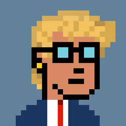 Donald Punk #1801