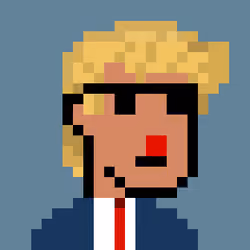 Donald Punk #1603