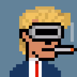Donald Punk #1676