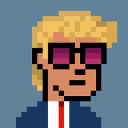 Donald Punk #603