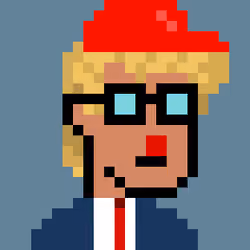 Donald Punk #1847