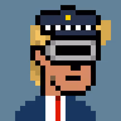 Donald Punk #545