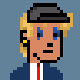 Donald Punk #1497