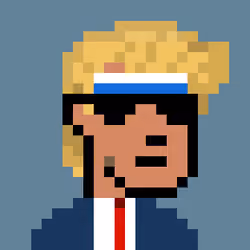 Donald Punk #192
