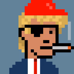 Donald Punk #1687