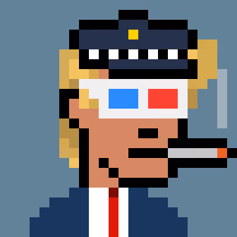 Donald Punk #1503