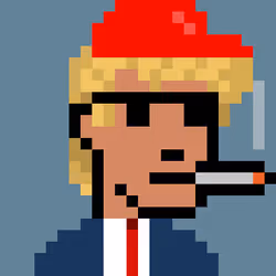 Donald Punk #1460