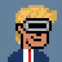 Donald Punk #348