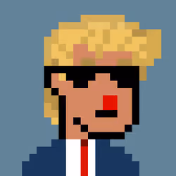 Donald Punk #661