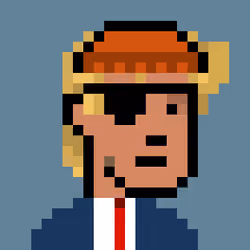 Donald Punk #1103