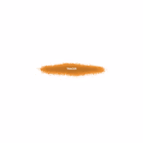 Traces By Tracesworks