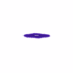Traces #488