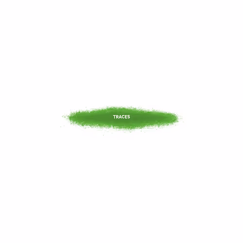 Traces By Tracesworks