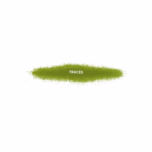 Traces #1202