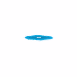 Traces #2709