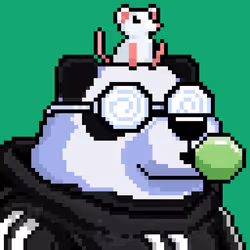 504