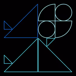 41