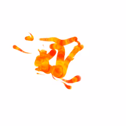 Item Media