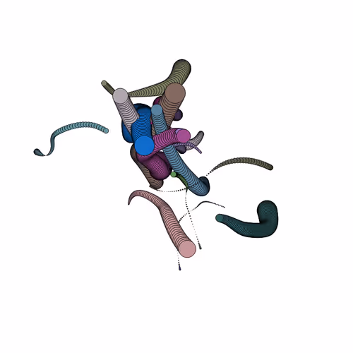 Glitched Worms