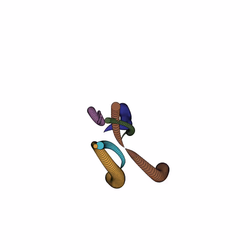 Glitched Worms
