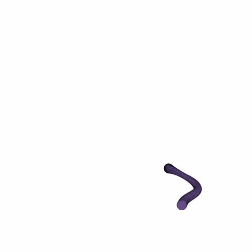 Glitched Worms