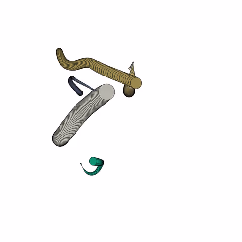 Glitched Worms #442