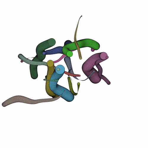 Glitched Worms #455