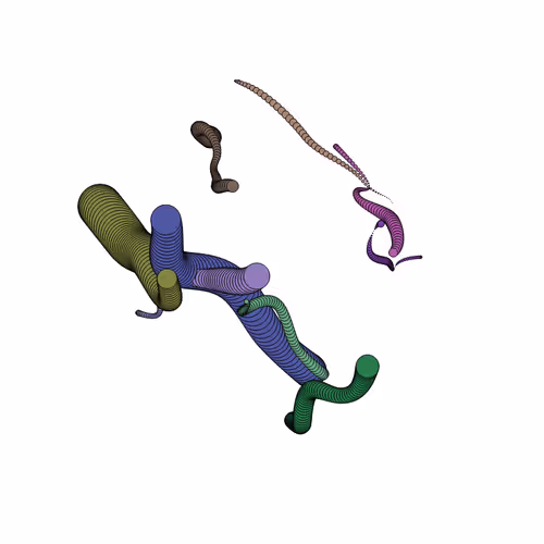 Glitched Worms #470