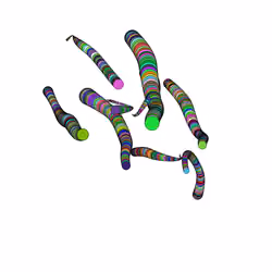 Glitched Worms #353