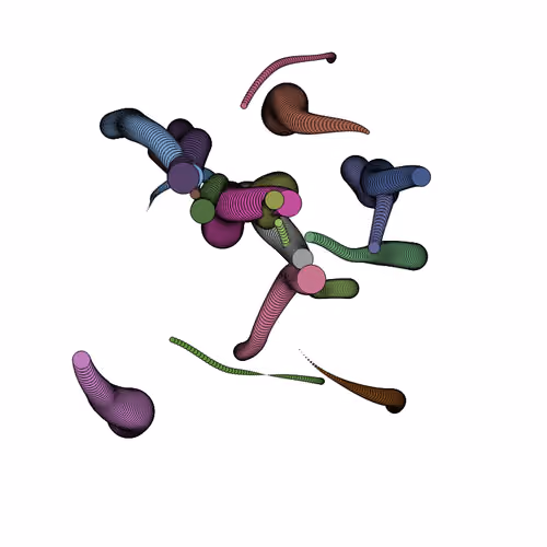 Glitched Worms #256