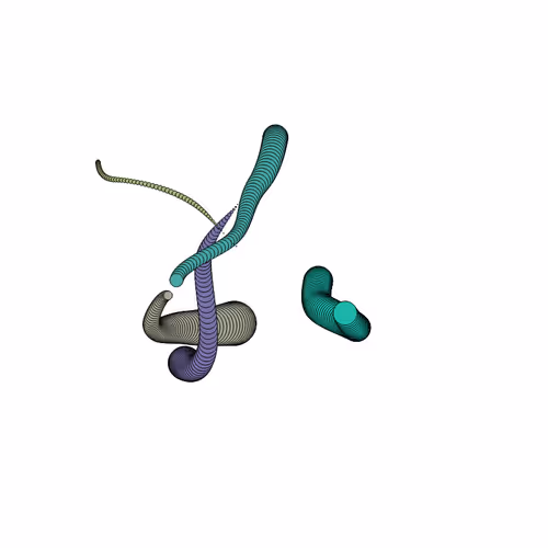 Glitched Worms #290