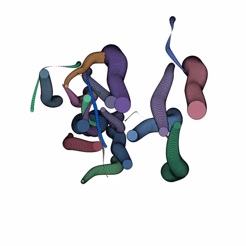 Glitched Worms