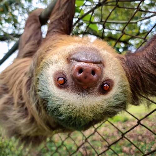 Everyday Photography V2