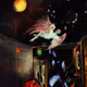 Soaring Dreams