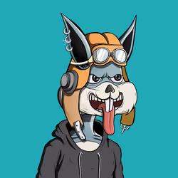50