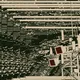 Signals from the noise