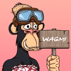 204